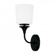 Capital Canada 648911MB-541 - 1-Light Sconce