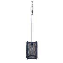 Whitfield PT6032-1DG - 1 Light Pendant