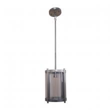 Whitfield PT677-1SS - 1 Light Pendant