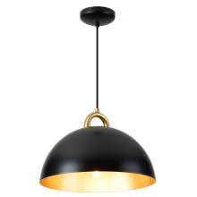 Artcraft AC12001BB - Pantheon-1-Light Pendant-19.5"-Black/Rust Brass